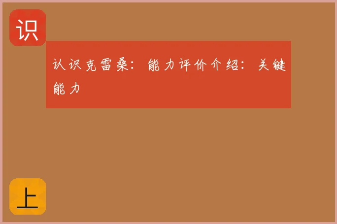 认识克雷桑：能力评价介绍：关键能力