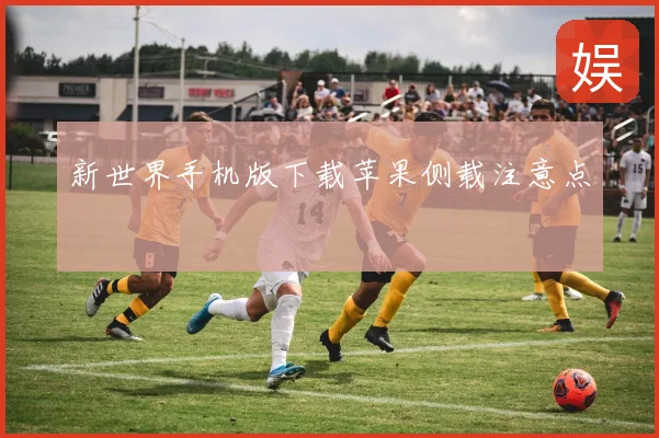 新世界手机版下载苹果侧载注意点