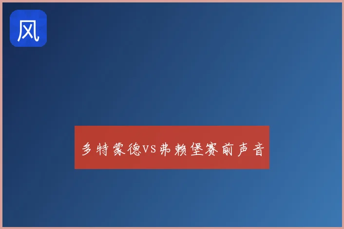 多特蒙德vs弗赖堡赛前声音