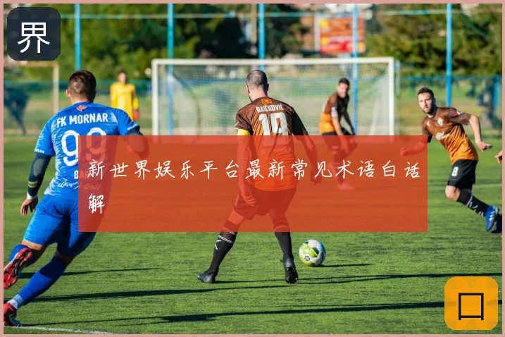 新世界娱乐平台最新常见术语白话解